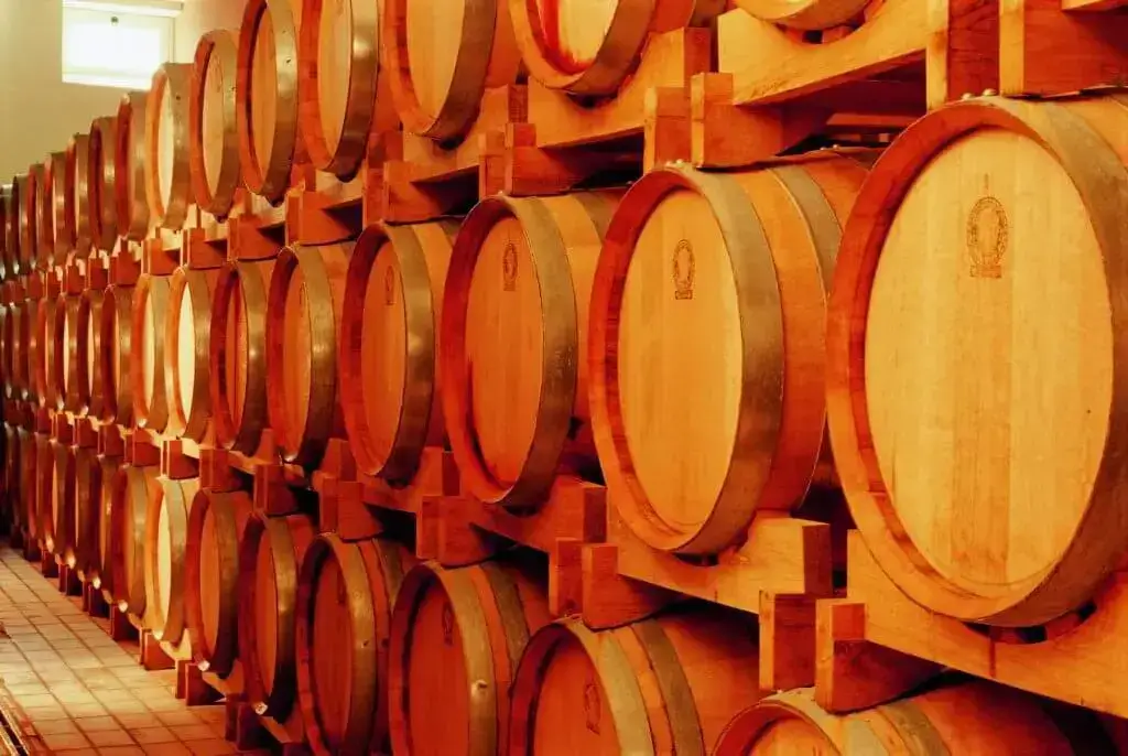 Cantina Pietratorcia: storia e produzione dei pregiati vini d'Ischia